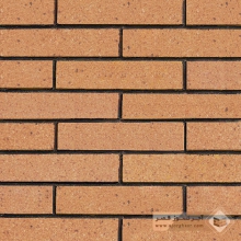 آجر نسوز پلاک ساده گرانیتی 310x70x27mm A2