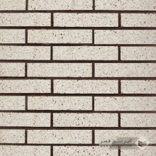 آجر نسوز پلاک ساده سفید صدفی 260x55x25mm